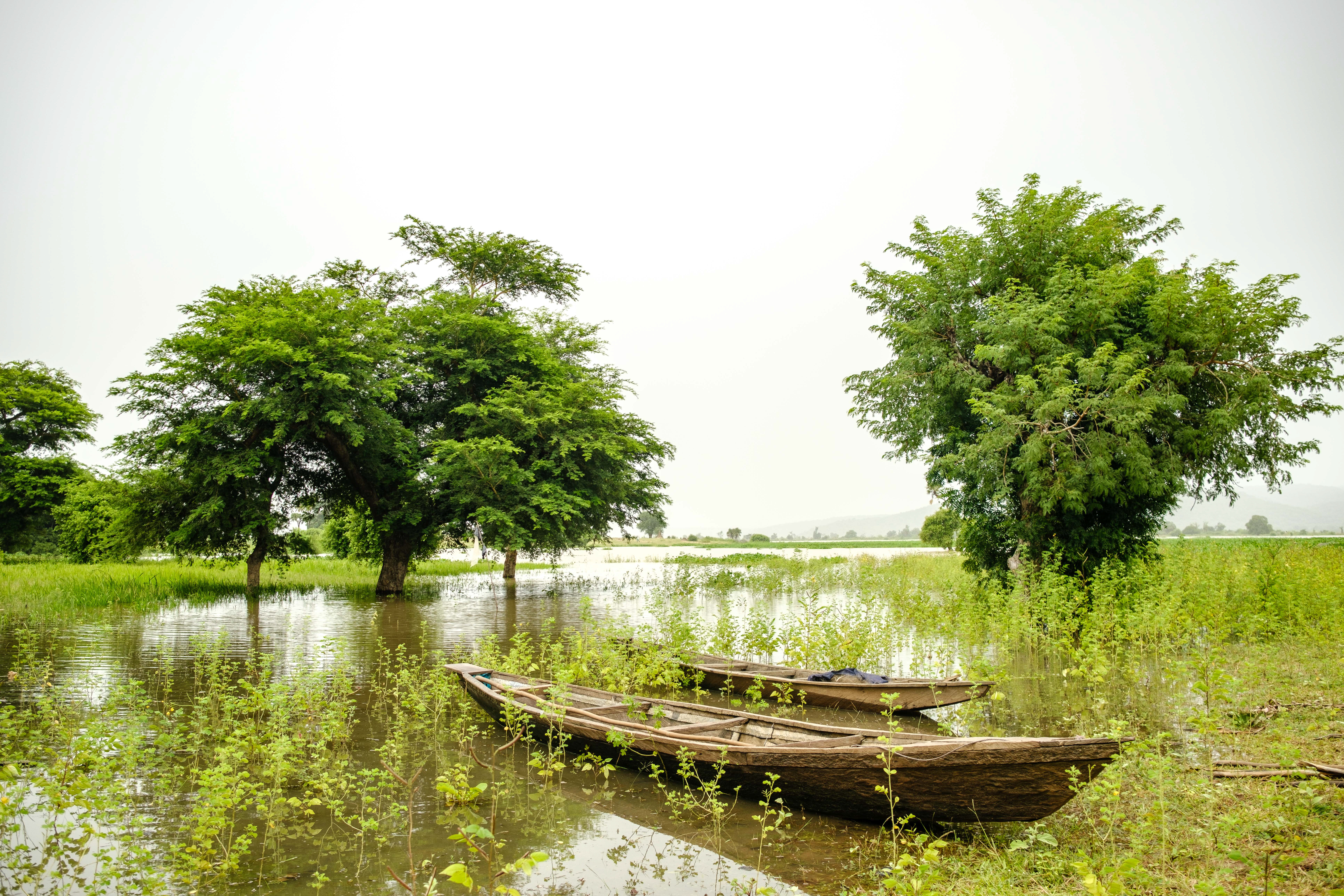 Yola, Nigeria, October 2023. Shaibu Mohammed used his cash assistance to purchase an irrigation water pump for his natural fish farm during the dry season.