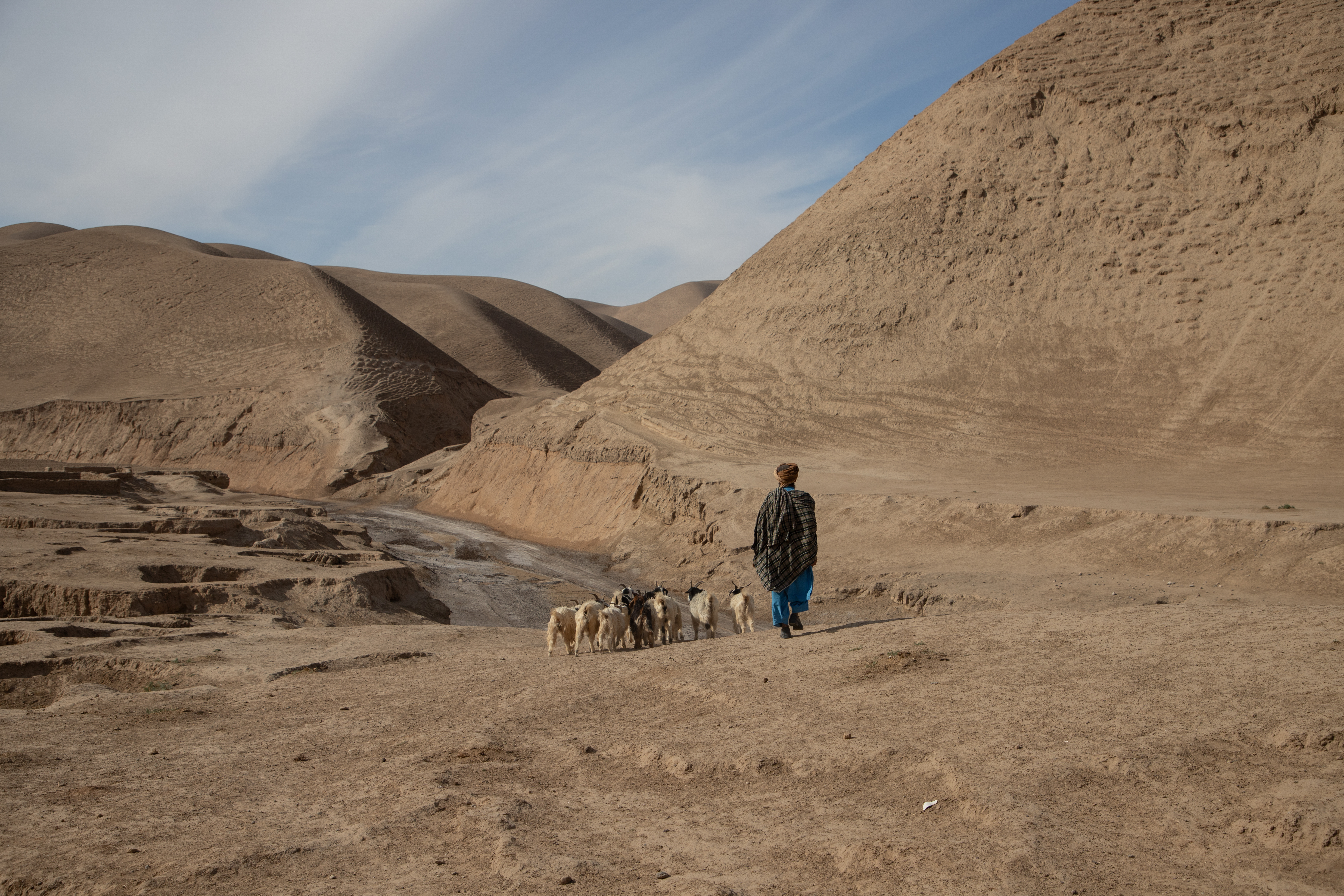 A livestock owner navigates his community in drought-stricken Badghis Province. Photo credit to M Azizi.