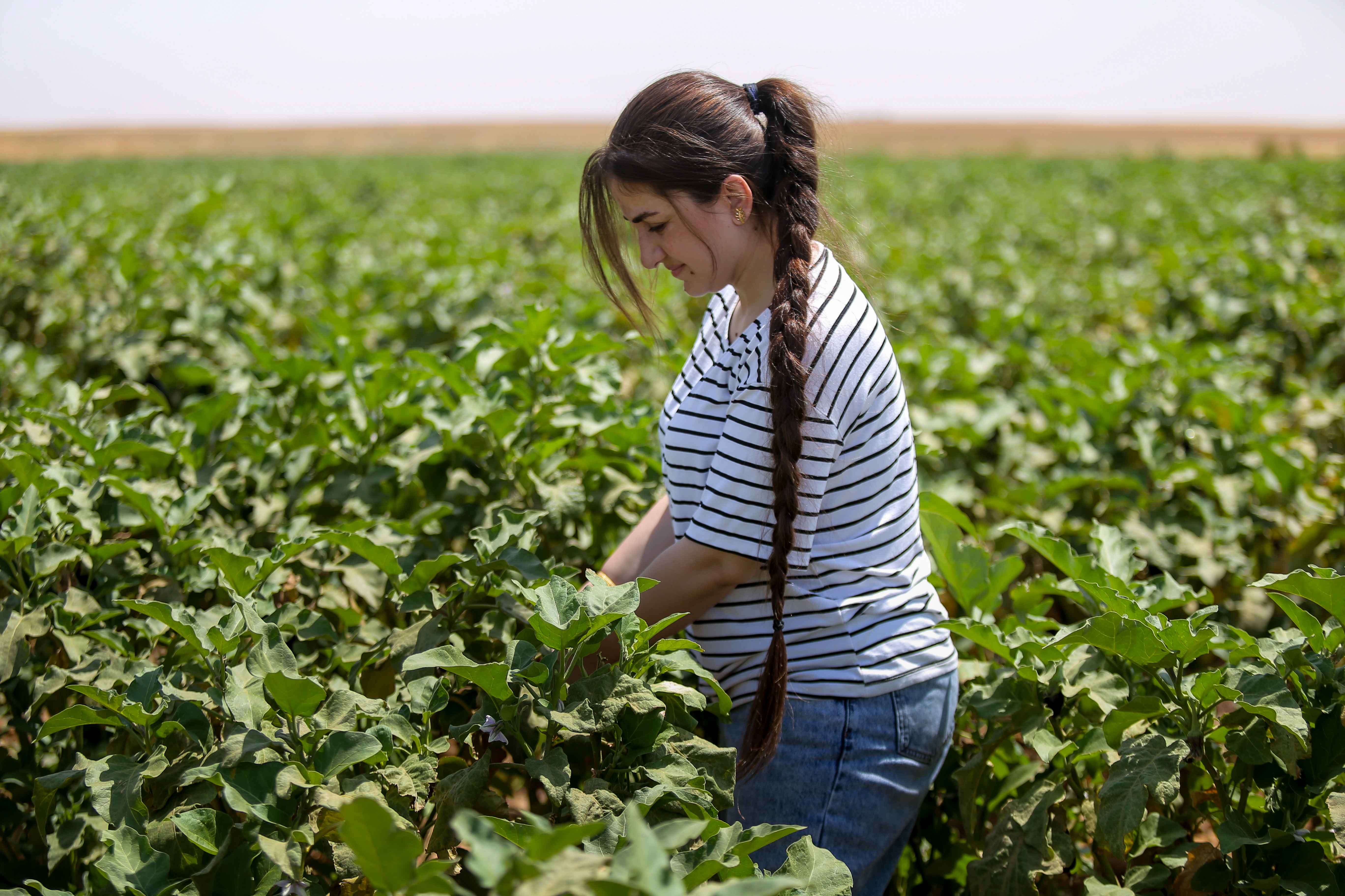 Fadia joined the IRC's Seeds Security project, receiving financial assistance for essential inputs from the local market and training in climate-adapted agricultural techniques.