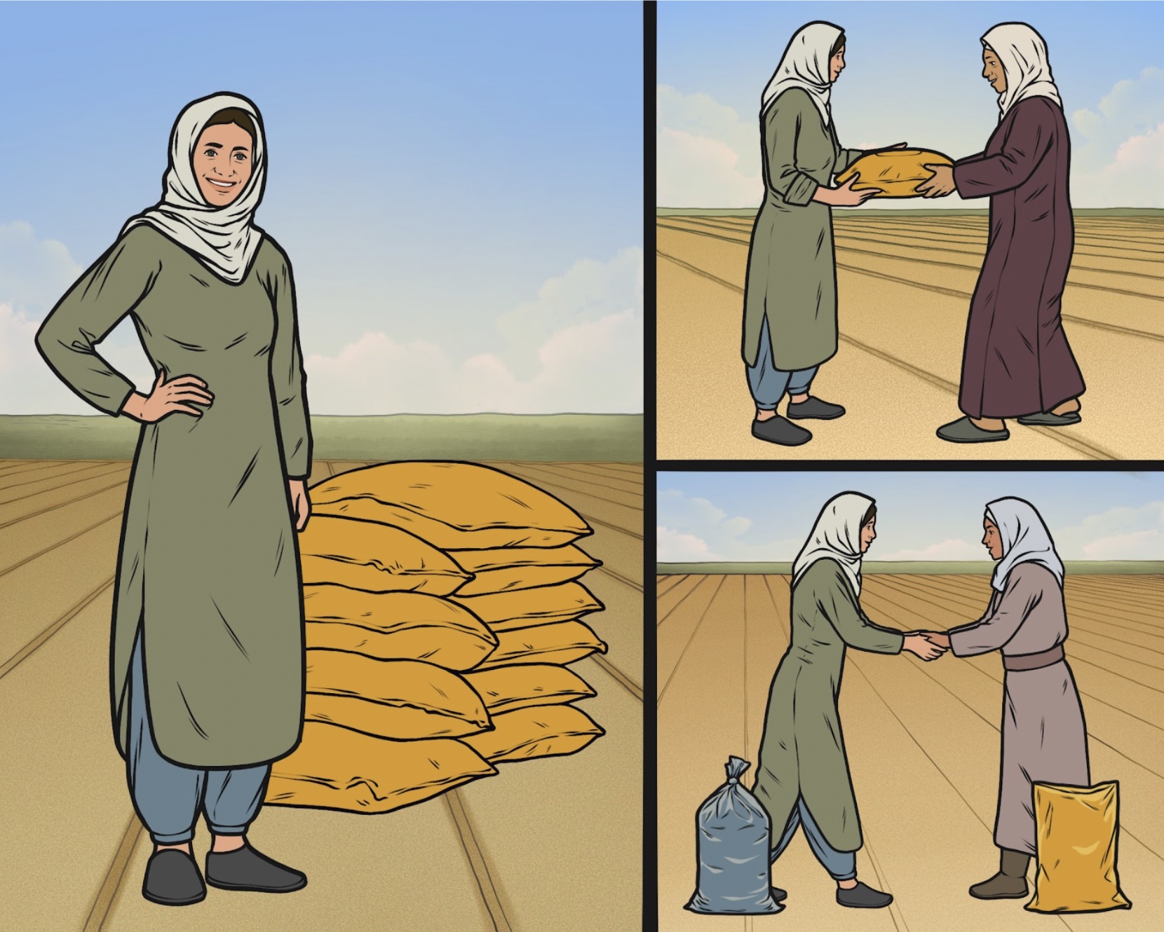 Graphic illustration of the Pakistan Seed Security Solution Package.